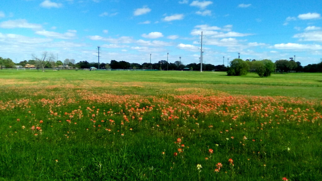 Meadow Park in Bedford